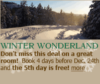 Moosehead lake lodging,  Moose watching, rafting,atv rentals!